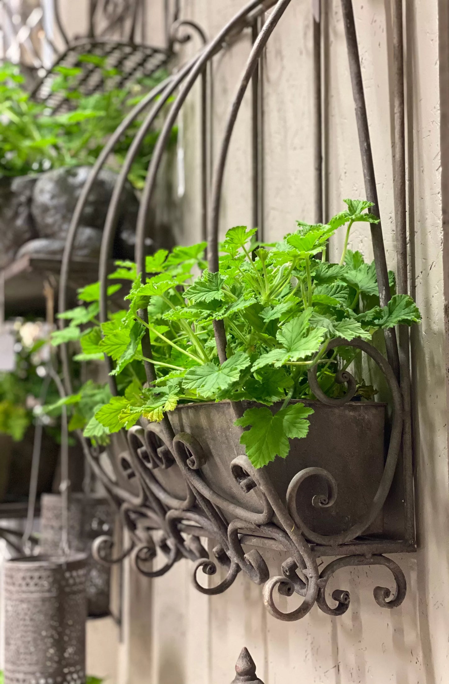 Blomsterpotte Blomsterkrukke for vegg 66x43 cm