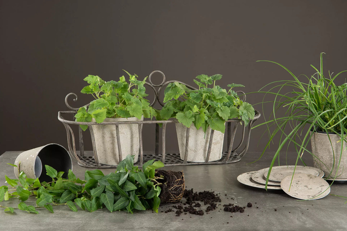 Blomsterpotte Blomsterkrukke Vegg kurv 3-packk Antikk