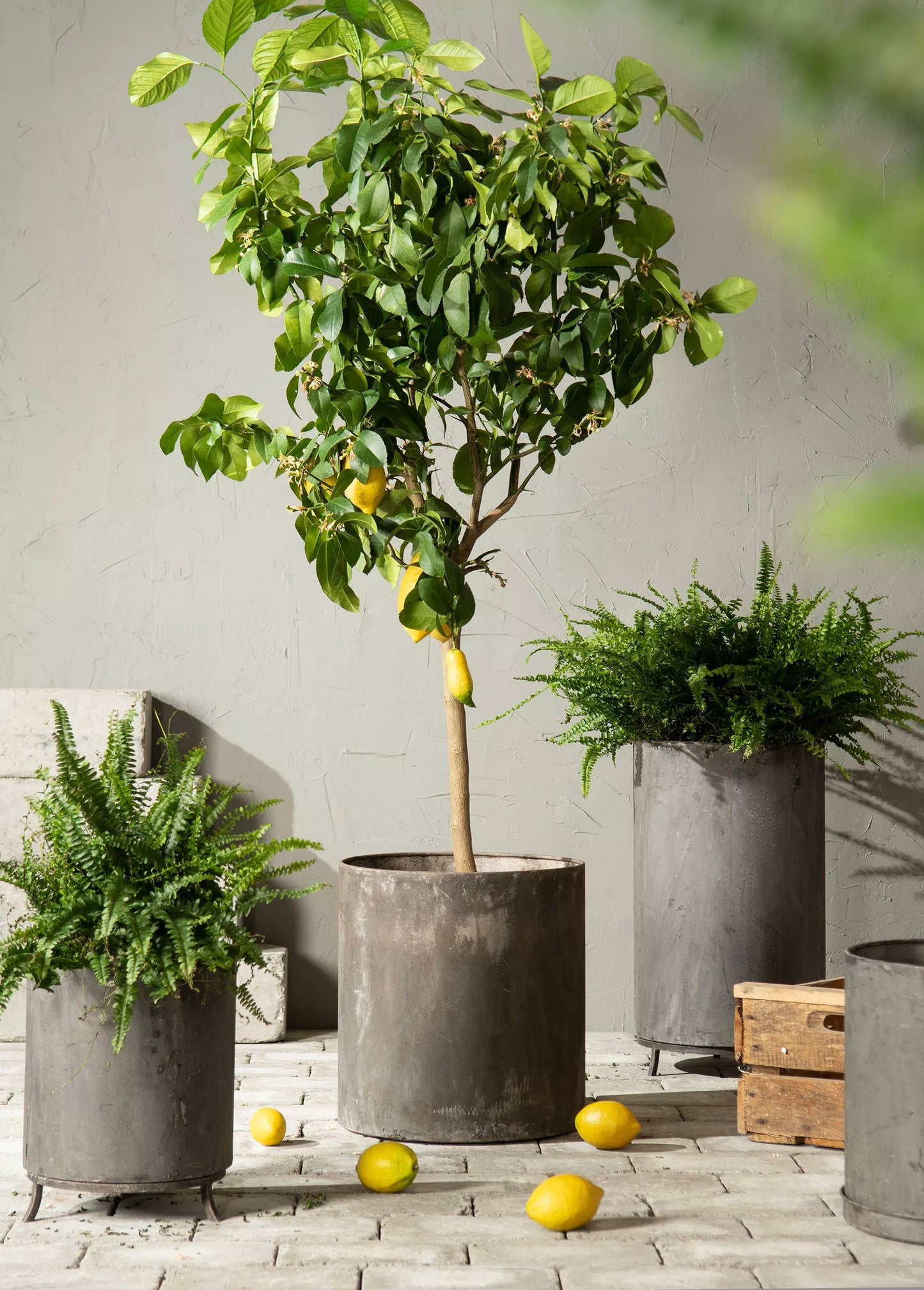 Blomsterpotte Blomsterkrukke Krukkering på fot til blomsterpotte Metall 3-pack