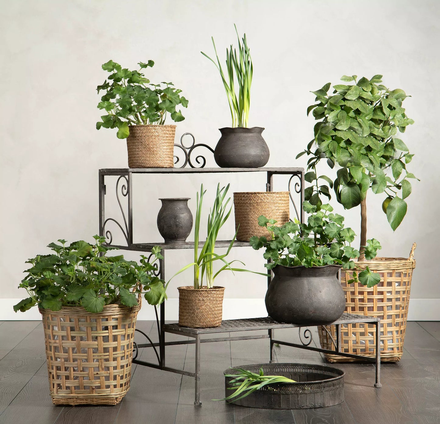 Blomsterstativ Vegghylle Plantering Sammenleggbart Metall 65×62×78 cm