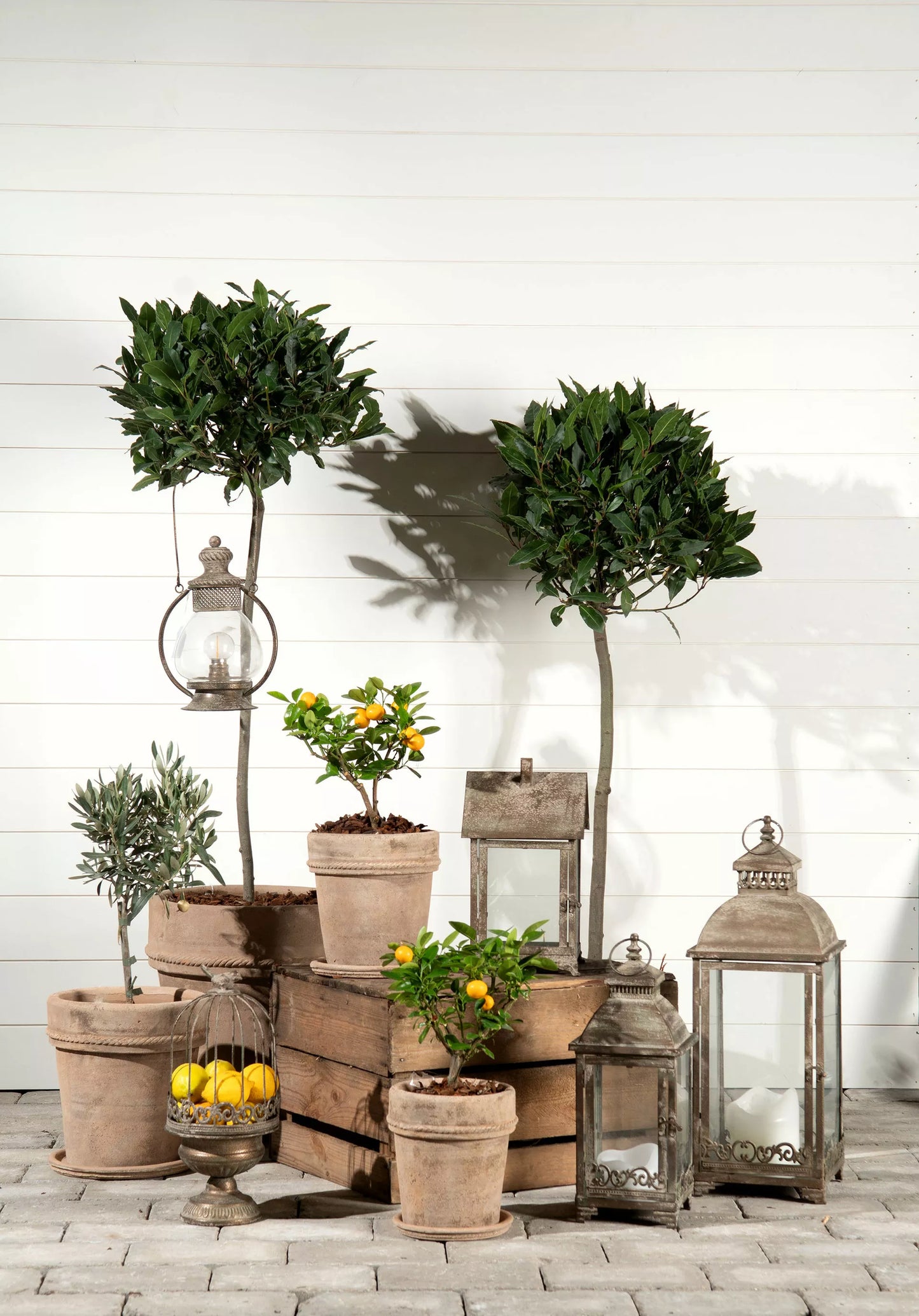 Lyslykt Cleo Metall Grønn 20,5x52cm 2-pack