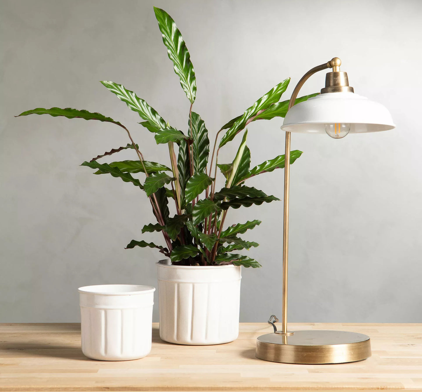 Bordlampe Noa Emalje Shell 30x52cm