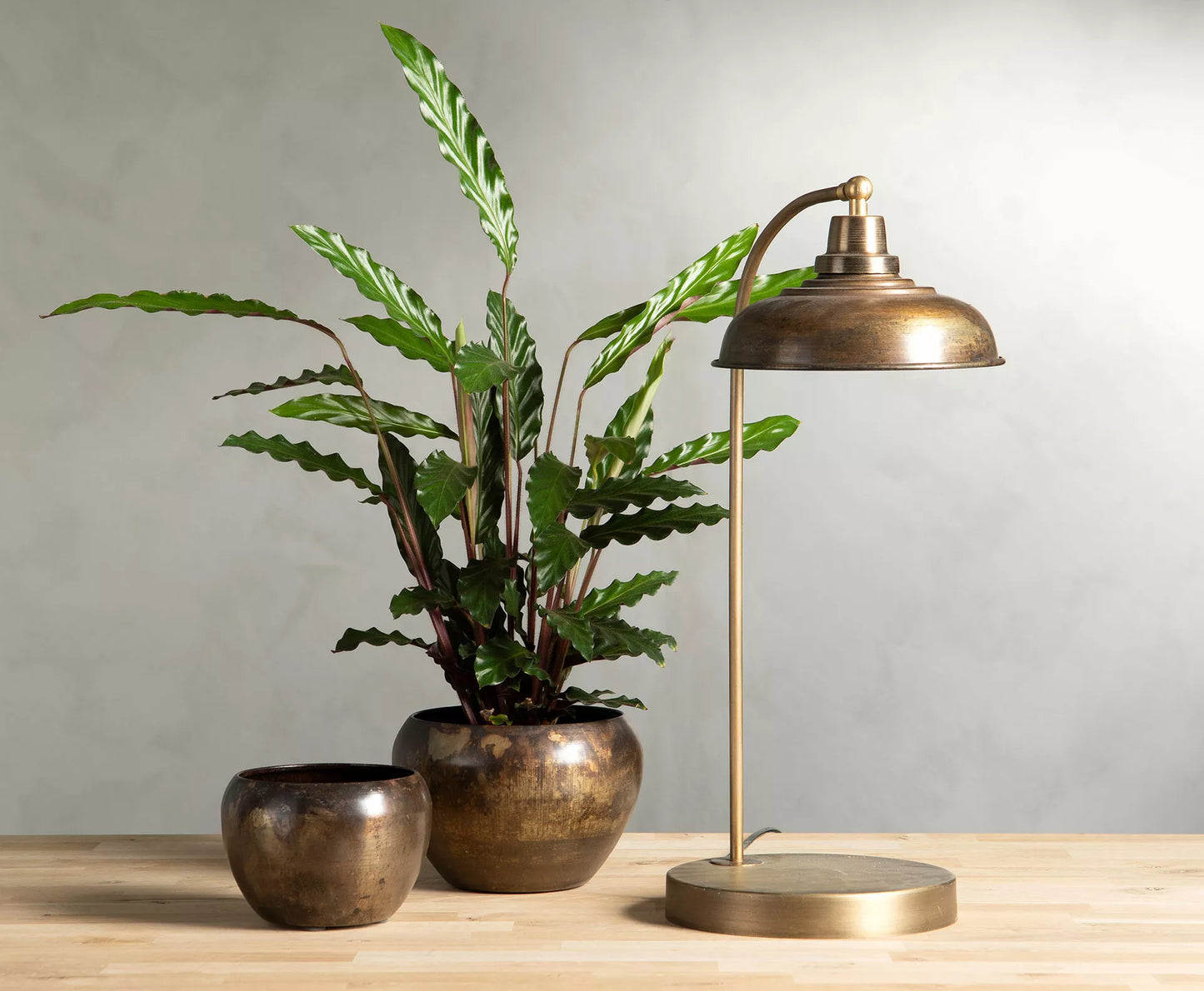 Bordlampe Noa Brun Ant. 30x52 cm