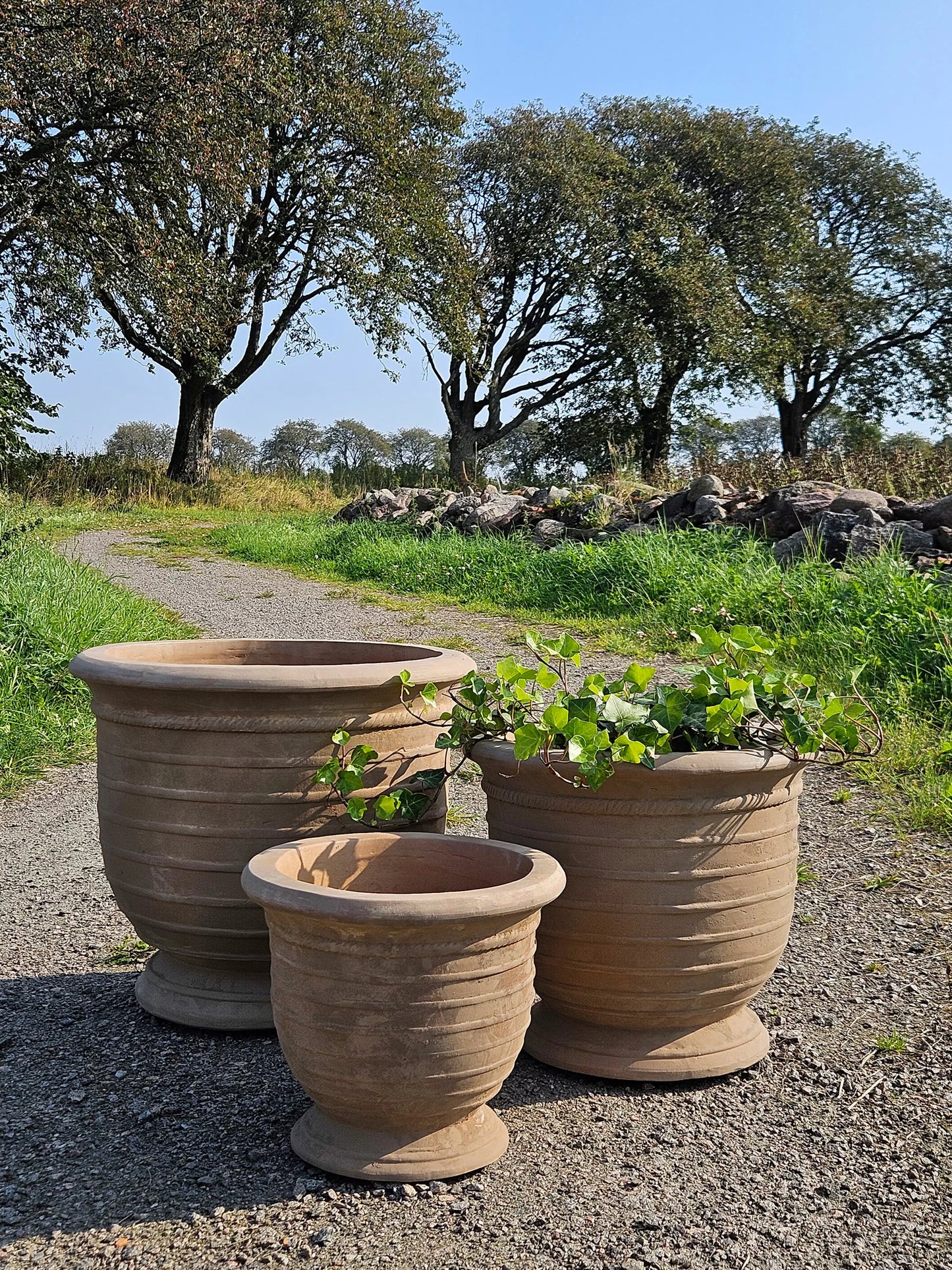 Blomkruka Pokal Afrodite Ø55x45x48cm 3-pack I lager: Vecka 13