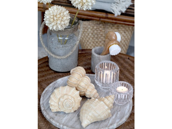 Maritim Dekorasjon Shell H9 / L14,5 / B8 cm antikk natur