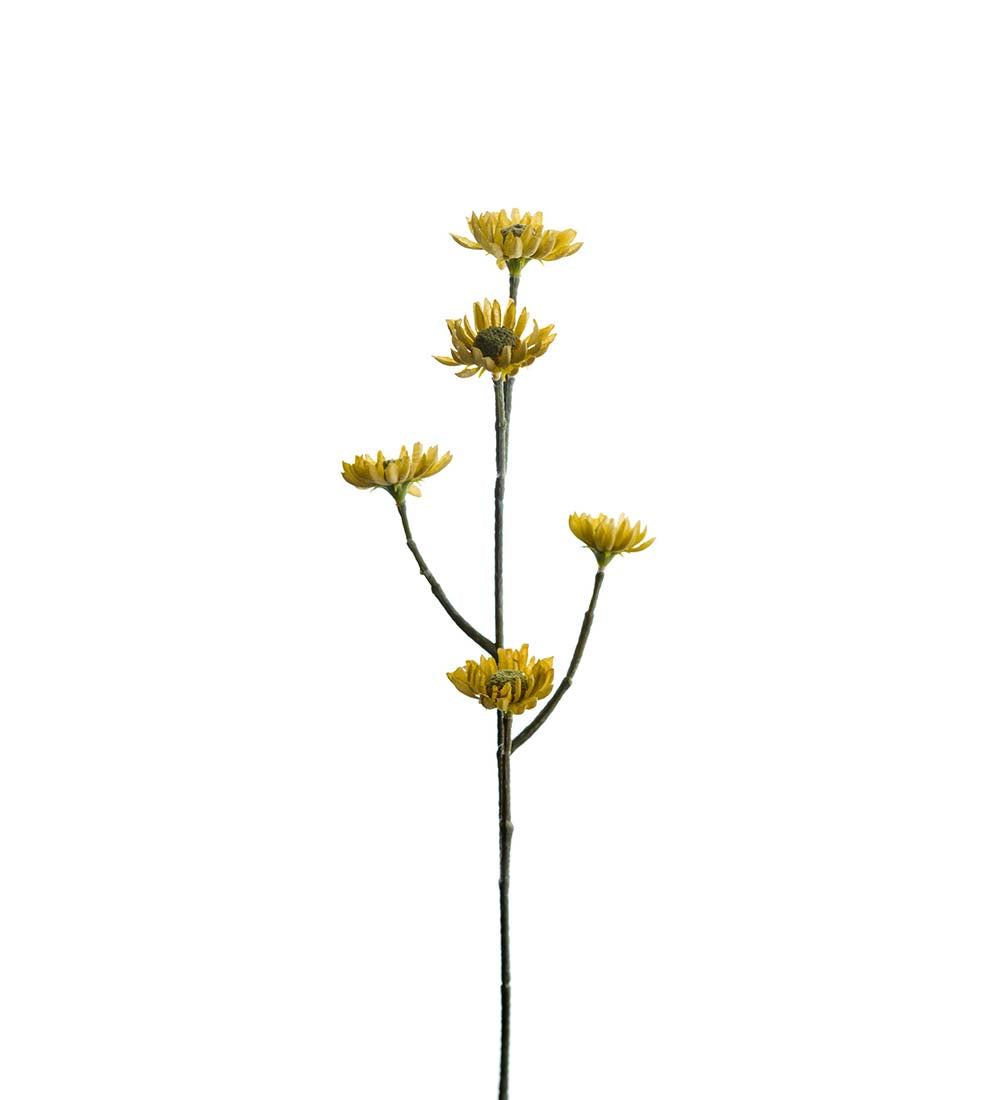 Kunstig Eternell 50 cm SALG