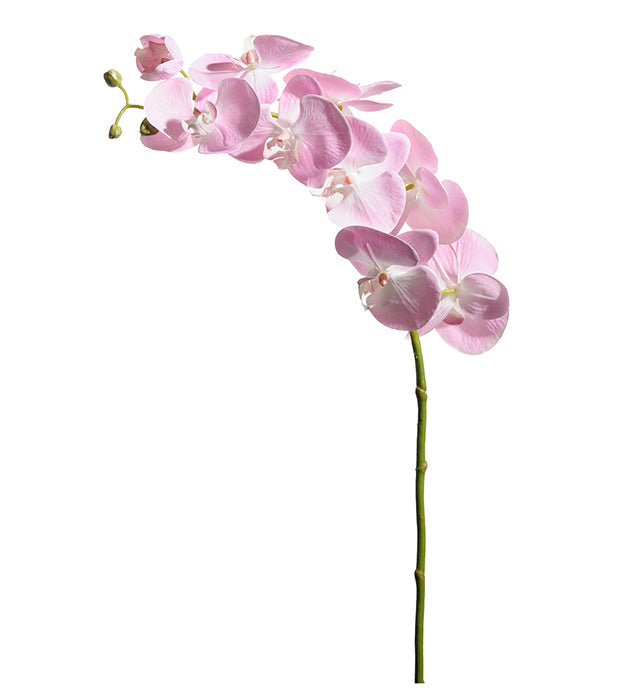Konstgjord växt Orkidéstjälk Phalaenopsis 75 cm