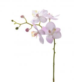 Kunstig Orkidéstilk Phalaenopsis 28 cm , hemmetshjarta.no