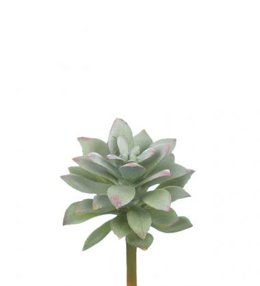 Kunstig Echeveria 6 cm , hemmetshjarta.no