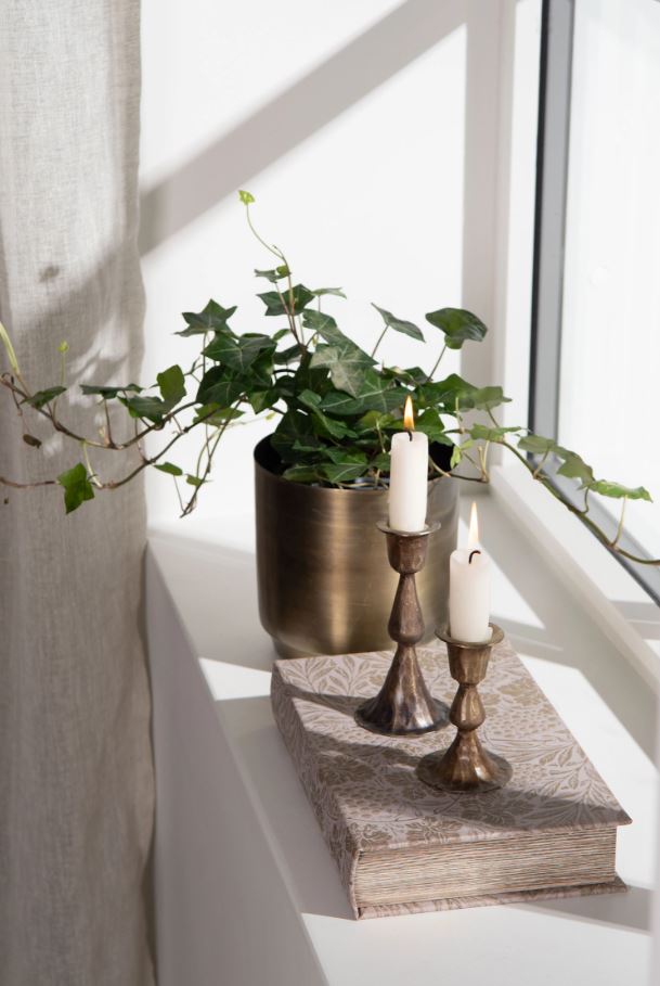 Dekorasjon Bokeske Vinranke 2-pakning 16x5x26 cm