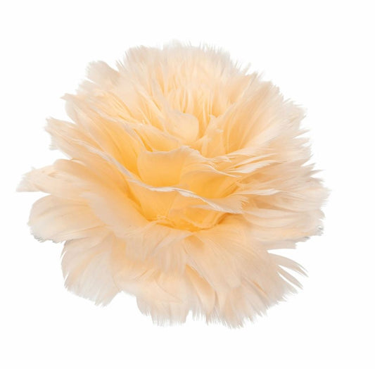 Dekorasjon Fjærblomst med Klemme Aprikos 6-pakning Ø11 cm