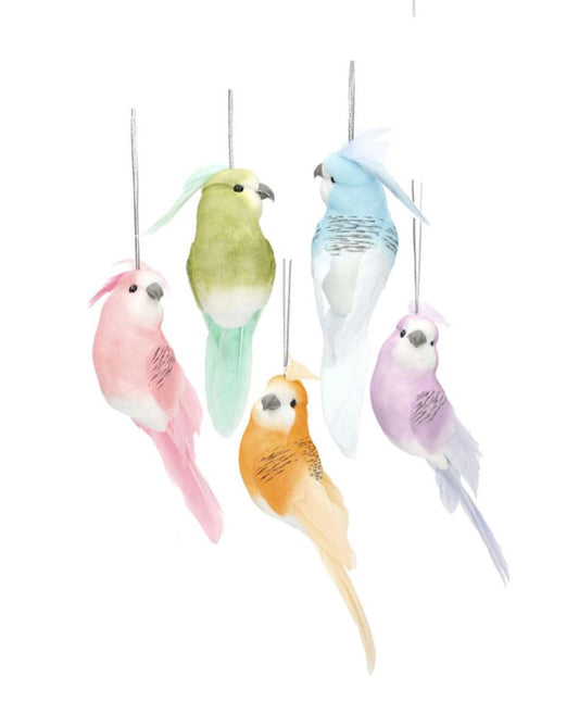 Dekorasjon Hengende Undulat Mix 5-pakning