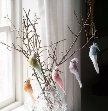 Dekorasjon Hengende Undulat Mix 5-pakning