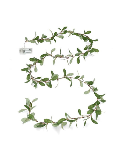 Batteridrevet belysning Lyslenke Eukalyptus LED 200 cm
