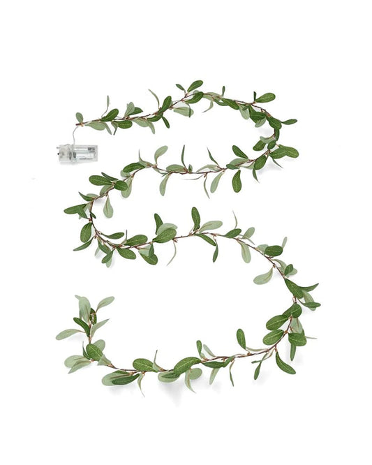 Batteridrevet belysning Lyslenke Eukalyptus LED 200 cm