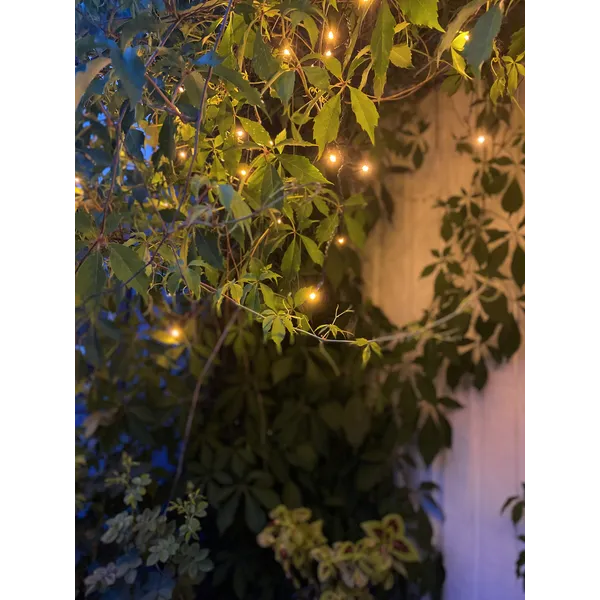 Utendørs julepynt Istapp lenke Golden Warm White 590 cm