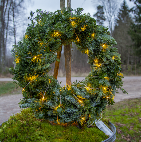 Utendørs julepynt Lyslenke Transparent 720 cm