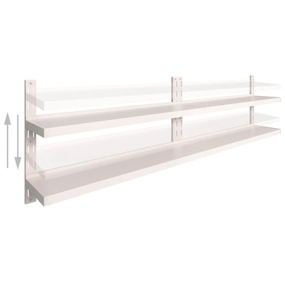 Vegghylle DIV. Flytende vegghyller 2 nivåer 2 stk rustfritt stål 300x30 cm