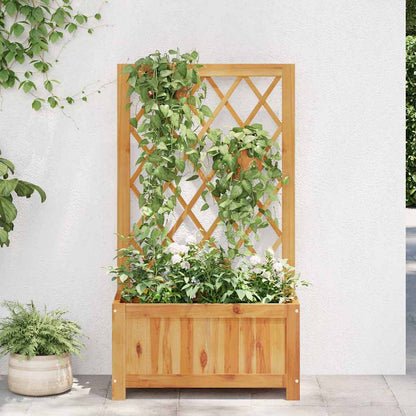 Utendørs Blomsterpotte Tre med espalier heltre akasie