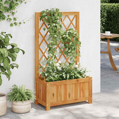 Utendørs Blomsterpotte Tre med espalier heltre akasie