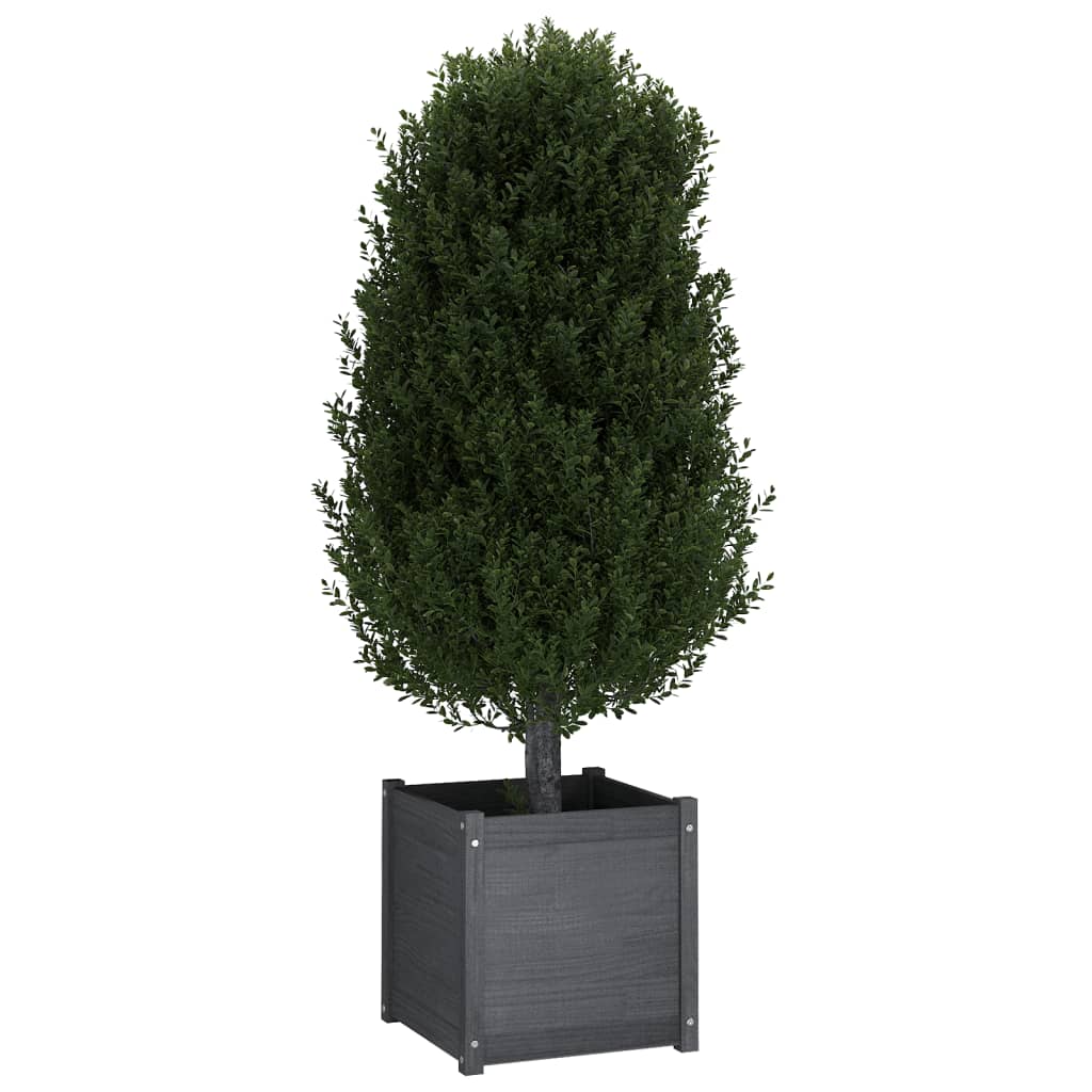 Plantekasser 2 stk grå 50x50x50 cm heltre furu