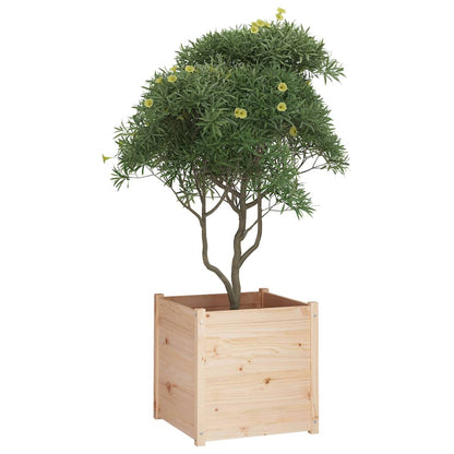 Plantekasser 2 stk 60x60x60 cm heltre furu