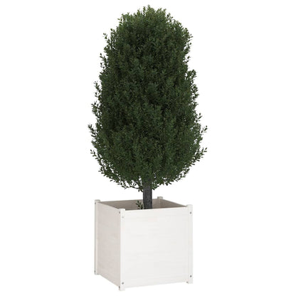 Plantekasser hvit 2 stk 60x60x60 cm heltre furu