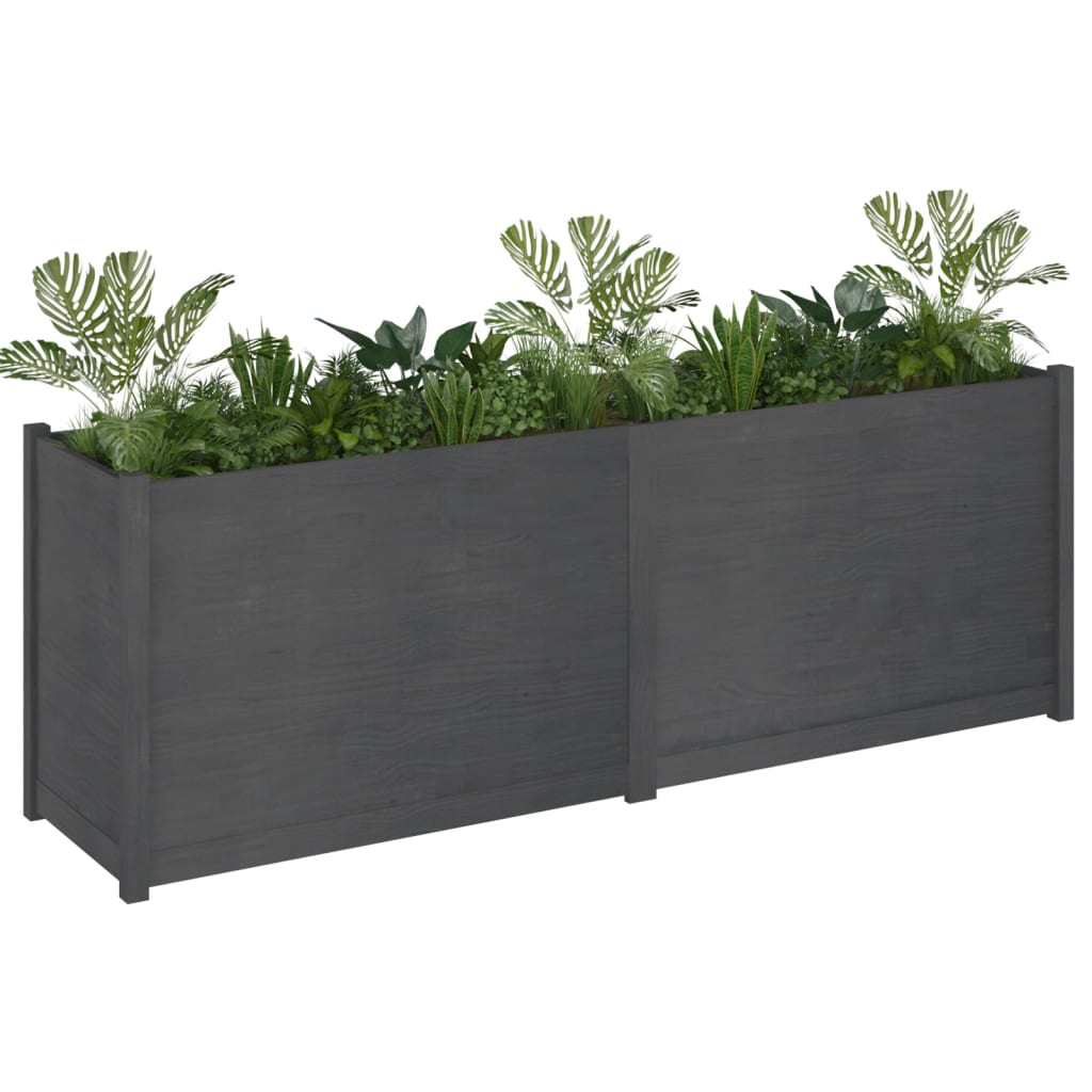 Plantekasse 200x50x70 cm heltre furu grå