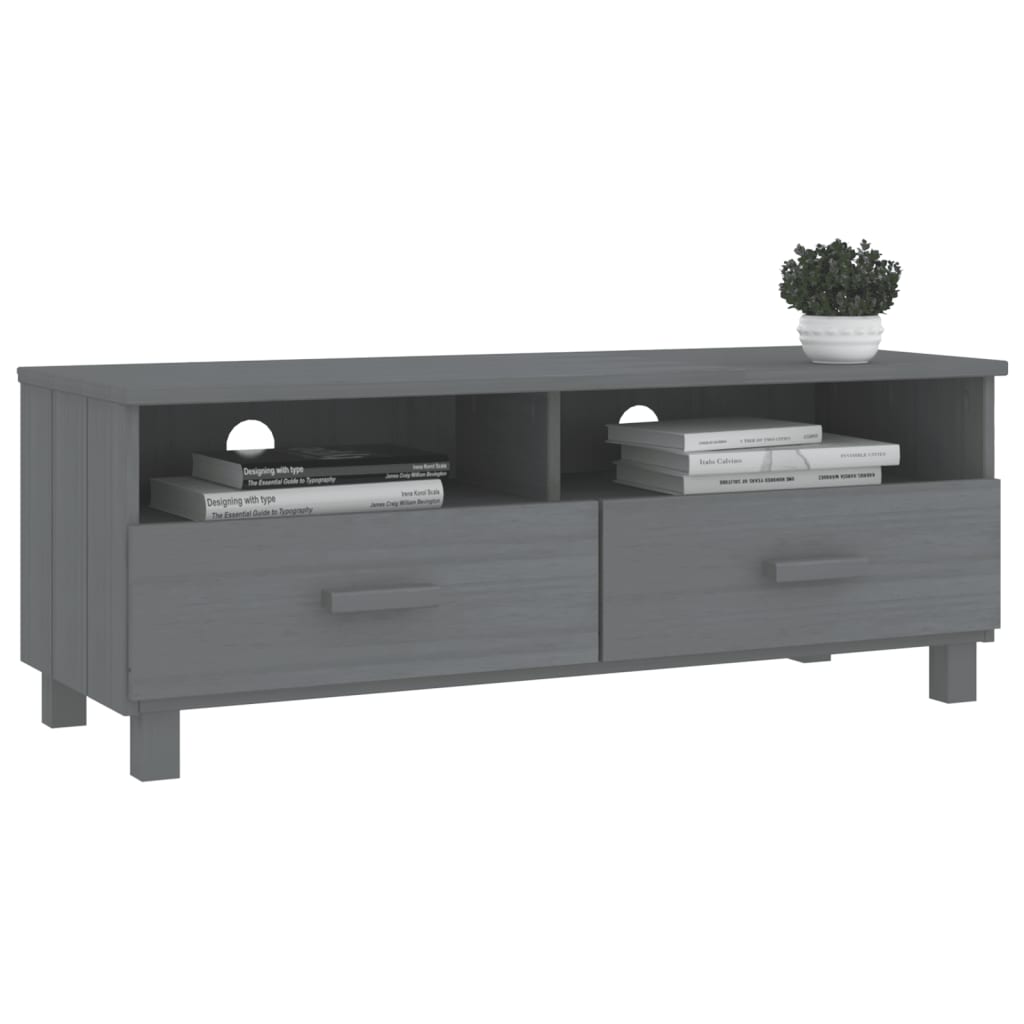 TV-Møbel Grå TV-benk HAMAR 106x40x40 cm heltre furu