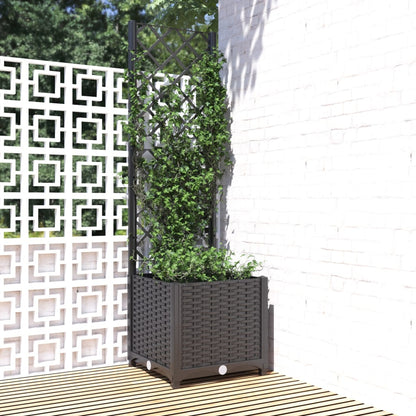 Hageespalje Plantekasse PP Svart 40x40x136 cm PP