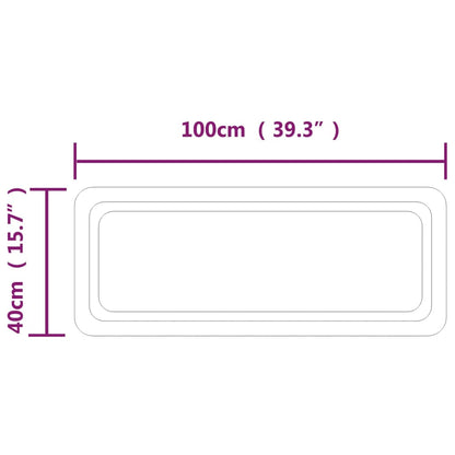 Baderomsspeil med LED 40x100 cm