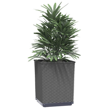 Utendørs Blomsterkasse Plantekasse Polypropen (PP) 2 stk Svart 30x30x37 cm polypropylen