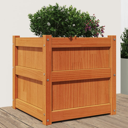 Utendørs Blomsterkasse Plantekasse Tre voksbrun 50x50x50 cm heltre furu