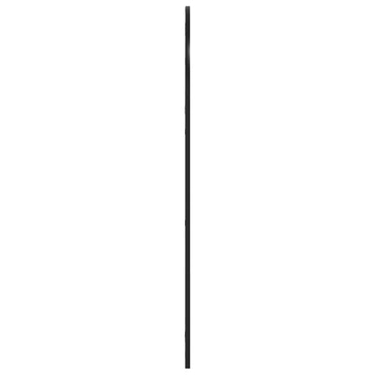 Veggspeil Svart 60x110 cm buet jern
