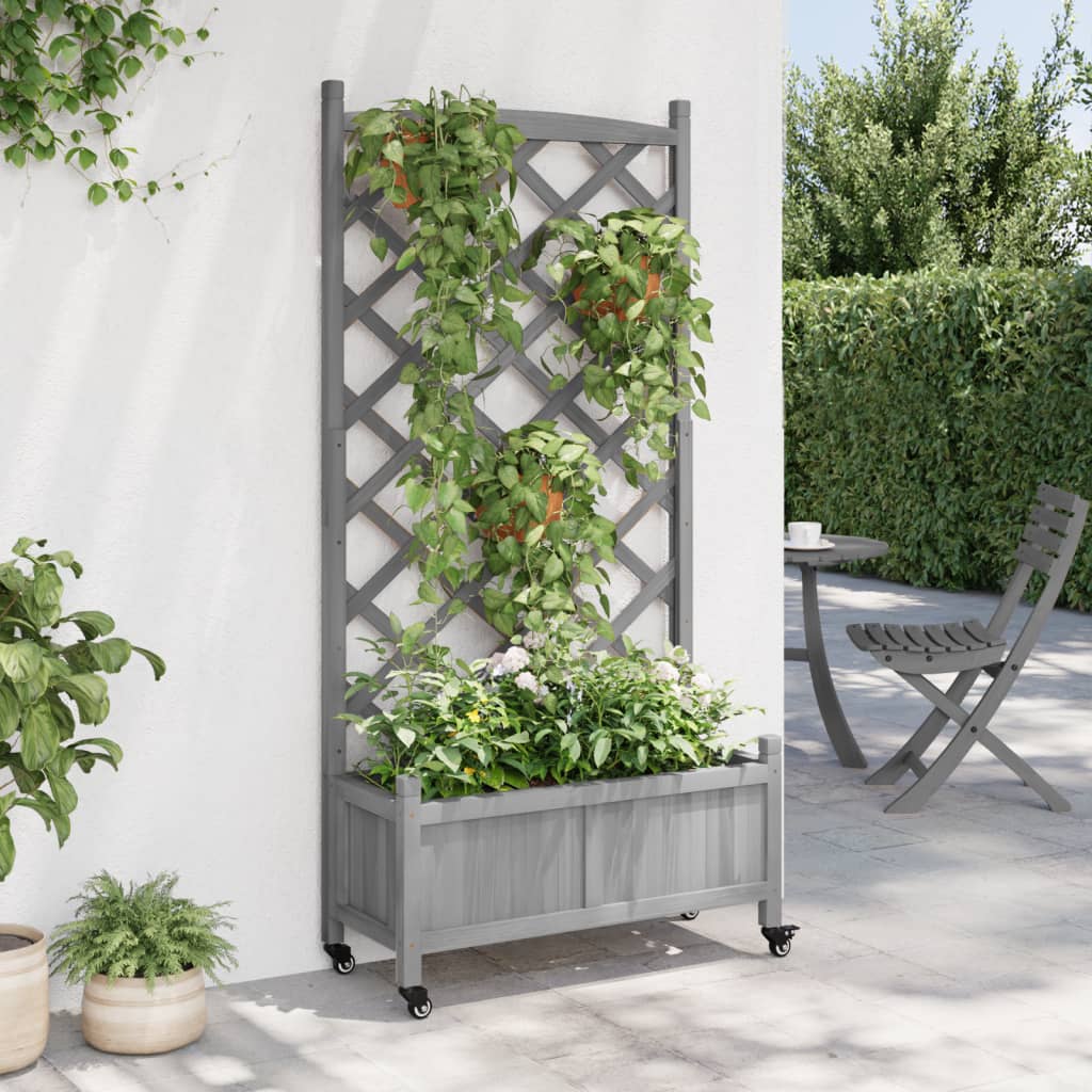 Plantekasse med espalier og hjul grå heltre gran