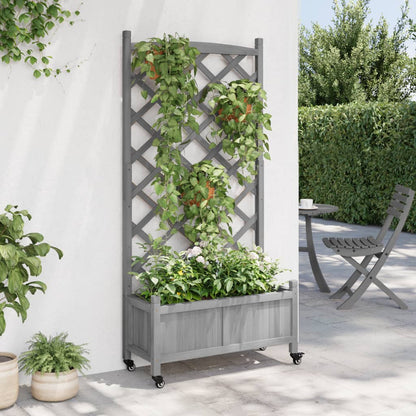 Plantekasse med espalier og hjul grå heltre gran