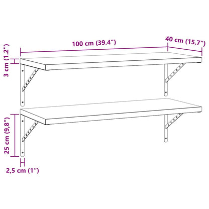 Vegghylle DIV. 2 stk 100x40 cm Svart rustfritt stål