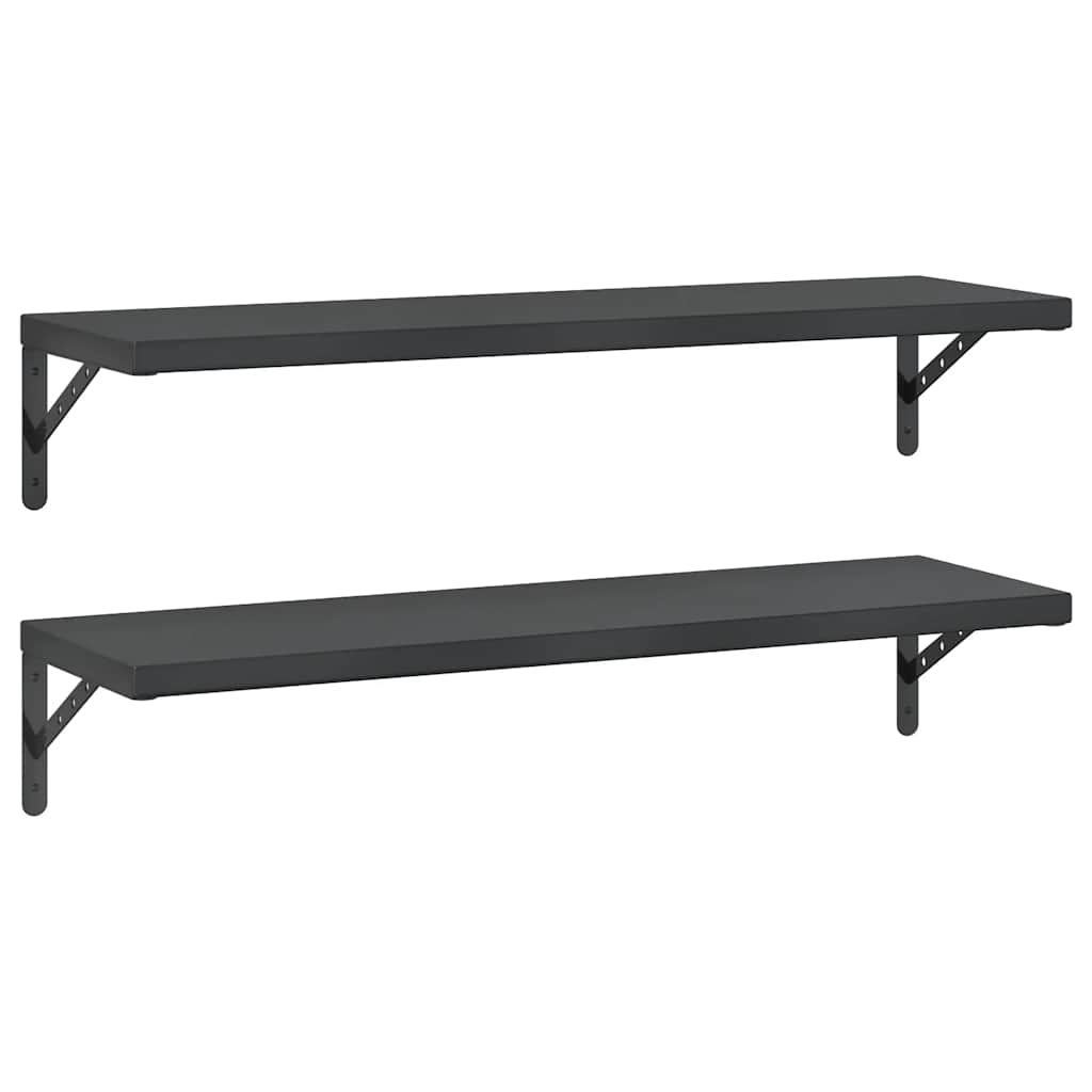 Vegghylle DIV. 2 stk 100x30 cm Svart rustfritt stål