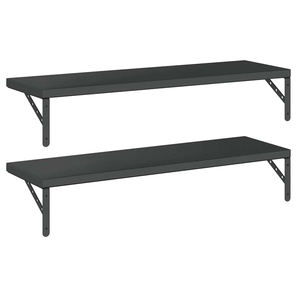 Vegghylle DIV. 2 stk 100x30 cm Svart rustfritt stål