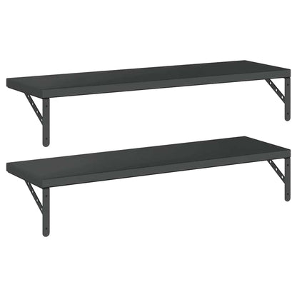 Vegghylle DIV. 2 stk 100x30 cm Svart rustfritt stål