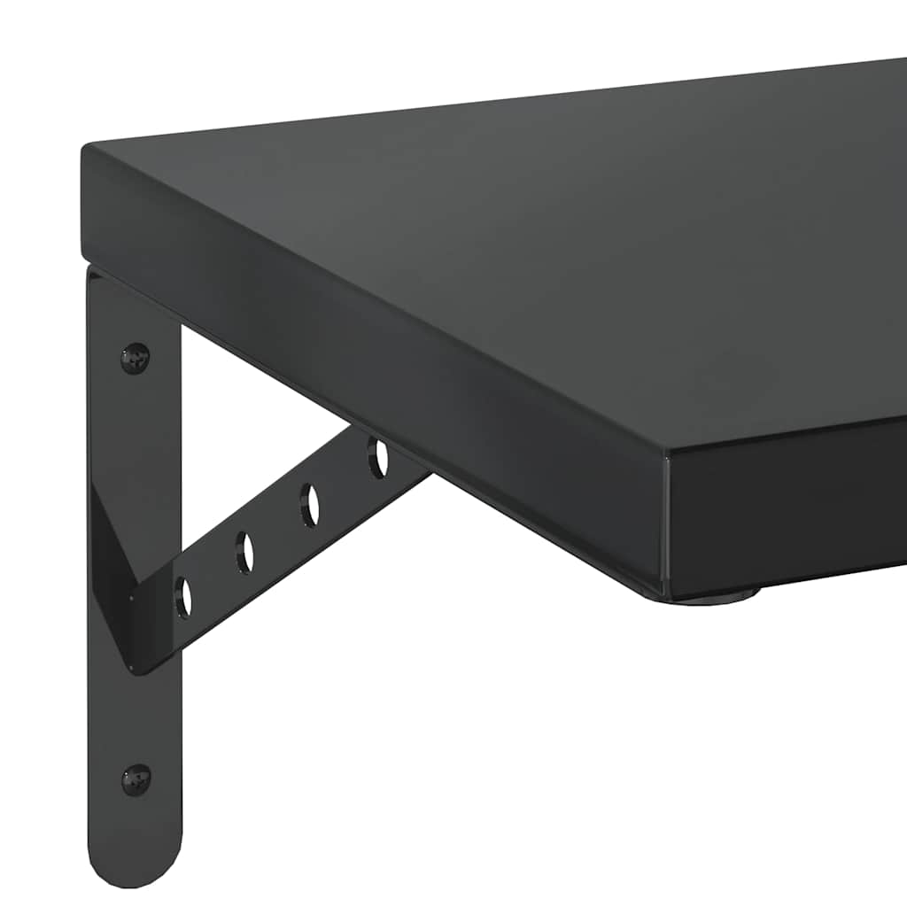 Vegghylle DIV. 2 stk 100x30 cm Svart rustfritt stål