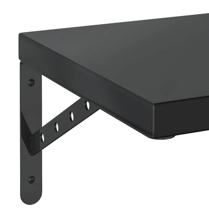Vegghylle DIV. 2 stk 100x30 cm Svart rustfritt stål