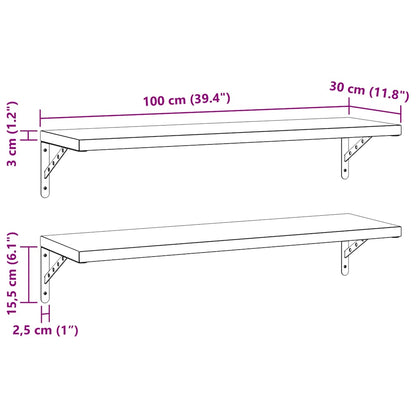 Vegghylle DIV. 2 stk 100x30 cm Svart rustfritt stål