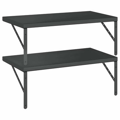 Vegghylle DIV. 2 stk 75x40 cm Svart rustfritt stål