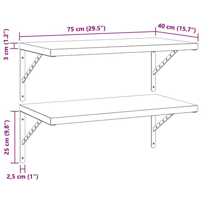 Vegghylle DIV. 2 stk 75x40 cm Svart rustfritt stål
