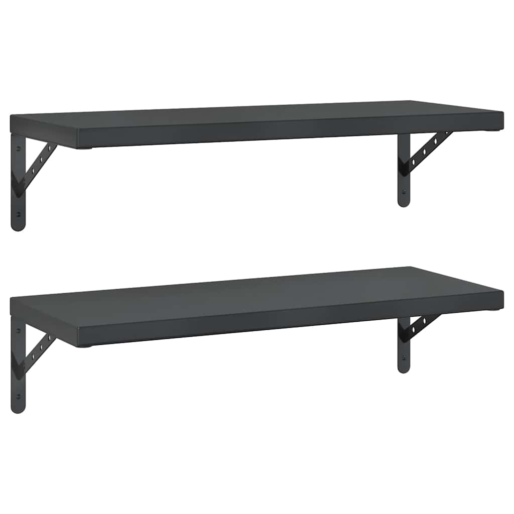 Vegghylle DIV. 2 stk 75x30 cm Svart rustfritt stål