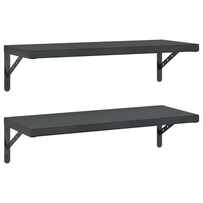 Vegghylle DIV. 2 stk 75x30 cm Svart rustfritt stål