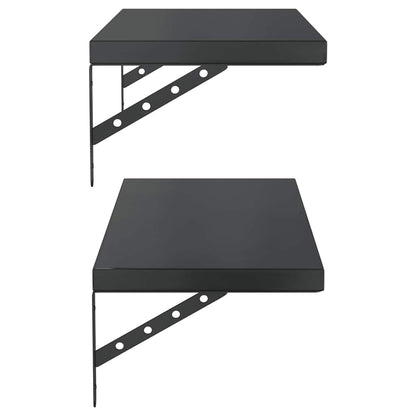 Vegghylle DIV. 2 stk 75x30 cm Svart rustfritt stål