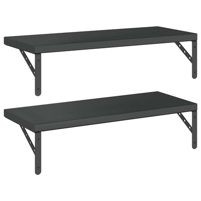 Vegghylle DIV. 2 stk 75x30 cm Svart rustfritt stål