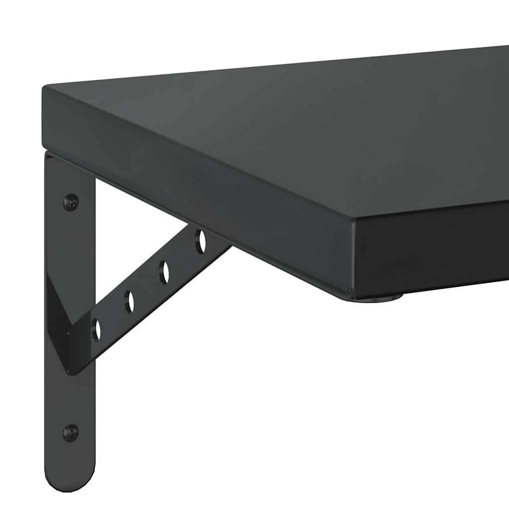 Vegghylle DIV. 2 stk 75x30 cm Svart rustfritt stål